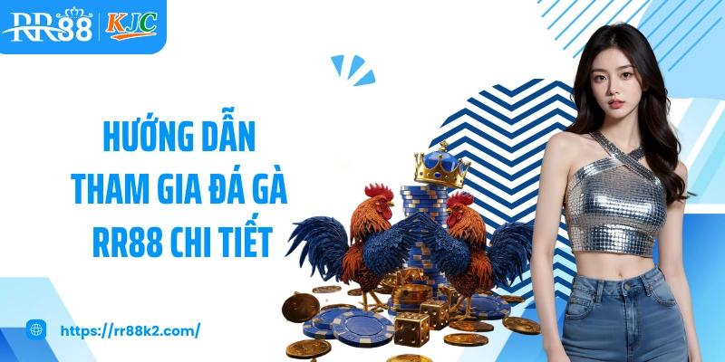 Hướng dẫn tham gia đá gà RR88 chi tiết