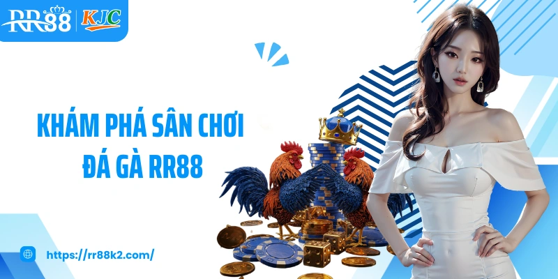 Khám phá sân chơi đá gà RR88